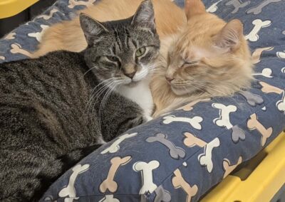 Lionel and Harper